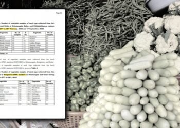 ತರಕಾರಿ ಪ್ರಿಯರೇ ಎಚ್ಚರ..! ನಾವು ತಿನ್ನೋ ತರಕಾರಿಗಳಲ್ಲಿ ವಿಷಕಾರಿ ಅಂಶ ಪತ್ತೆ | CPCB ವರದಿ