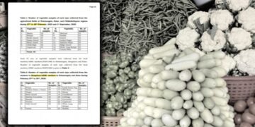 ತರಕಾರಿ ಪ್ರಿಯರೇ ಎಚ್ಚರ..! ನಾವು ತಿನ್ನೋ ತರಕಾರಿಗಳಲ್ಲಿ ವಿಷಕಾರಿ ಅಂಶ ಪತ್ತೆ | CPCB ವರದಿ