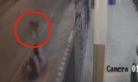 ಬೆಂಗಳೂರಲ್ಲಿ ಬೀದಿ ನಾಯಿ ಅಟ್ಟಹಾಸ | ಮಗುವಿನ ಮೇಲೆ ಡೆಡ್ಲಿ ಅಟ್ಯಾಕ್!