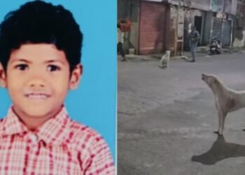 ಬೀದಿ ನಾಯಿ ದಾಳಿಗೆ ಬಾಲಕ ಸಾವು