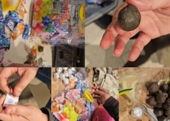 ಕೆಂಪೇಗೌಡ ಅಂತರಾಷ್ಟ್ರೀಯ ವಿಮಾನ ನಿಲ್ದಾಣದಲ್ಲಿ ಕಸ್ಟಮ್ಸ್ ಅಧಿಕಾರಿಗಳ ಭರ್ಜರಿ ಕಾರ್ಯಾಚರಣೆ |  ಲಕ್ಷಾಂತರ‌ ಮೌಲ್ಯದ ಡ್ರಗ್ ಸೀಜ್