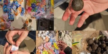 ಕೆಂಪೇಗೌಡ ಅಂತರಾಷ್ಟ್ರೀಯ ವಿಮಾನ ನಿಲ್ದಾಣದಲ್ಲಿ ಕಸ್ಟಮ್ಸ್ ಅಧಿಕಾರಿಗಳ ಭರ್ಜರಿ ಕಾರ್ಯಾಚರಣೆ |  ಲಕ್ಷಾಂತರ‌ ಮೌಲ್ಯದ ಡ್ರಗ್ ಸೀಜ್