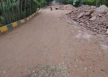 ವಾಕ್ ಮಾಡುತ್ತಿದ್ದ ವೃದ್ದೆಗೆ ಚಾಕು ತೋರಿಸಿ ಸರ ಕದ್ದ ಖದೀಮರು