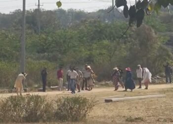 ಹಂಪಿಗೆ ಬಂದ ಪ್ರವಾಸಿಗರ ಮೇಲೆ ಹೆಜ್ಜೇನು ದಾಳಿ