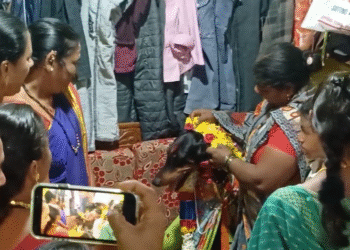 ಹುಬ್ಬಳ್ಳಿ | ಮುದ್ದಿನ ಸಾಕು ನಾಯಿಗೆ ಸೀಮಂತ ಮಾಡಿದ ಕುಟುಂಬ