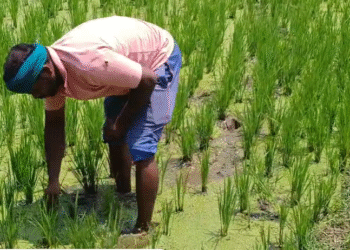 ಸಿಎಂ ಕ್ಷೇತ್ರದಲ್ಲಿ ನಿಮಾನ್ಸ್ ನಿರ್ಮಾಣಕ್ಕೆ ರೈತರ ವಿರೋಧ