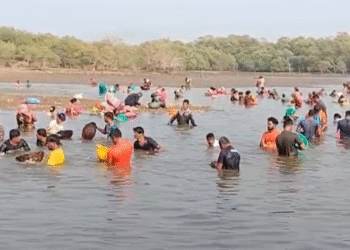 ಅಂಕೋಲಾದಲ್ಲಿ ಕಪ್ಪೆ ಚಿಪ್ಪು ತೆಗೆಯಲು ಮುಗಿಬಿದ್ದ ಜನ!