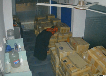 ಮಾಲೀಕನ ಜೊತೆ ಕಿರಿಕ್.. ಎಲೆಕ್ಟ್ರಾನಿಕ್ಸ್ ಶಾಪ್ ಕಳ್ಳತನ : ಅಪ್ಪ, ಮಗ ಅಂದರ್‌