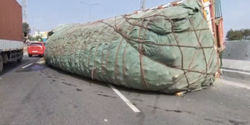 ಡಿವೈಡರ್‌ಗೆ ಡಿಕ್ಕಿ ಹೊಡೆದು ಪಲ್ಟಿಯಾದ ಲಾರಿ : ತಪ್ಪಿದ ಅನಾಹುತ