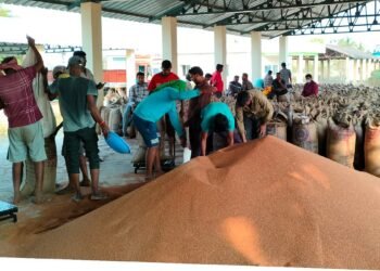 ರಾಗಿ ಬೆಲೆ ಏರಿಕೆ | 5 ಕ್ವಿಂಟಲ್‌ಗೆ ಸಾವಿರ ದಾಟಿದ ದರ