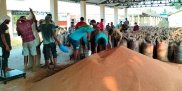 ರಾಗಿ ಬೆಲೆ ಏರಿಕೆ | 5 ಕ್ವಿಂಟಲ್‌ಗೆ ಸಾವಿರ ದಾಟಿದ ದರ