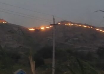 ಕಾಡಿಗೆ ಬೆಂಕಿ.. ಹೊತ್ತಿ ಉರಿದ ವನ್ಯಜೀವಿ, ಕಾಡು ಮರಗಳು