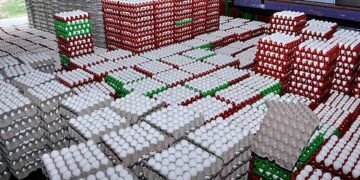 ಮಧ್ಯಪ್ರಾಚ್ಯ ಯುದ್ಧದಿಂದ ಕುಕ್ಕುಟೋದ್ಯಮಕ್ಕೆ ಭಾರೀ ಹೊಡೆತ.. ರಫ್ತಾಗದೇ ಕರ್ನಾಟಕದಲ್ಲೇ ಉಳಿದ ಲಕ್ಷಾಂತರ ಮೊಟ್ಟೆ!