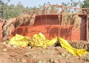 ಕಲ್ಲಂಗಡಿ ಸಾಗಿಸುತ್ತಿದ್ದ ಕ್ಯಾಂಟರ್ ಪಲ್ಟಿ.. ಹಣ್ಣುಗಳನ್ನು ಹೊತ್ತೊಯ್ದ ಜನ!