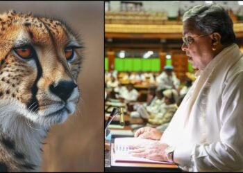 ಬನ್ನೇರುಘಟ್ಟದಲ್ಲಿ 5 ಕೋಟಿ ವೆಚ್ಚದಲ್ಲಿ ಚಿರತೆ ಪುನರ್ವಸತಿ ಕೇಂದ್ರ!