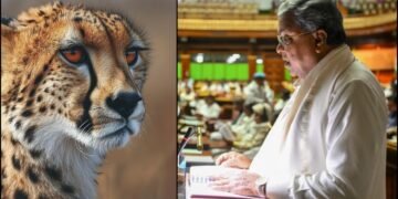 ಬನ್ನೇರುಘಟ್ಟದಲ್ಲಿ 5 ಕೋಟಿ ವೆಚ್ಚದಲ್ಲಿ ಚಿರತೆ ಪುನರ್ವಸತಿ ಕೇಂದ್ರ!