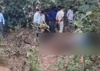 ಕಾಡಾನೆ ದಾಳಿಗೆ ಗ್ರಾಮ ಪಂಚಾಯ್ತಿ ಮಾಜಿ ಸದಸ್ಯೆ ಬಲಿ