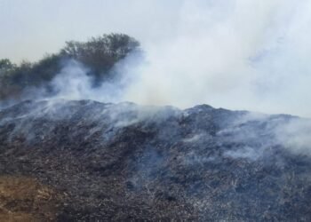 320 ಕ್ವಿಂಟಲ್ ಮೆಕ್ಕೆ ಜೋಳ ಸುಟ್ಟು ಭಸ್ಮ | ಸೂಕ್ತ ಪರಿಹಾರಕ್ಕೆ ಆಗ್ರಹ