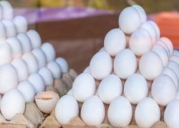 ಮೊಟ್ಟೆ ಉದ್ಯಮಕ್ಕೂ ತಟ್ಟಿತು ವಾರ್‌ ಎಫೆಕ್ಟ್‌..!