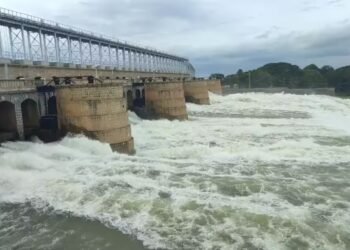 110 ಅಡಿಗೆ ಇಳಿದ ಕೆಆರ್‌ಎಸ್‌ ಜಲಾಶಯ! ನೀರಿನ ಸಮಸ್ಯೆ ಉಂಟಾಗುತ್ತಾ?