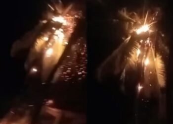 ಸಿಡಿಲಿಗೆ ಹೊತ್ತಿ ಉರಿದ‌‌ ತೆಂಗಿನ‌ ಮರಗಳು!