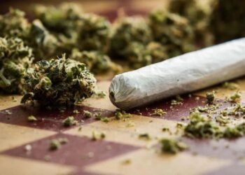 ರಾಜ್ಯದಲ್ಲಿ ಗಾಂಜಾ ಘಾಟು ಅವ್ಯಾಹತ!