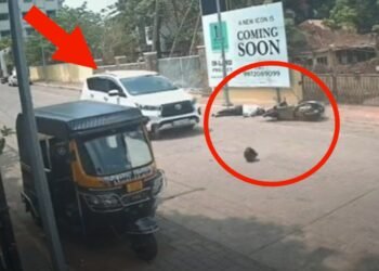 ಕಾರಿನಿಂದ ಗುದ್ದಿ ವ್ಯಕ್ತಿಯ ಕೊಲೆಗೆ ಯತ್ನ.. ಭಯಾನಕ ದೃಶ್ಯ ಸಿಸಿಟಿವಿಯಲ್ಲಿ ಸೆರೆ!