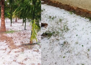 ಆಲಿಕಲ್ಲು ಮಳೆಗೆ ರಾಜ್ಯವೇ ತತ್ತರ.. ರೈತರಿಗೆ ತಪ್ಪದ ಬೆಳೆ ಹಾನಿ ಸಂಕಷ್ಟ!