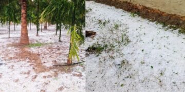 ಆಲಿಕಲ್ಲು ಮಳೆಗೆ ರಾಜ್ಯವೇ ತತ್ತರ.. ರೈತರಿಗೆ ತಪ್ಪದ ಬೆಳೆ ಹಾನಿ ಸಂಕಷ್ಟ!