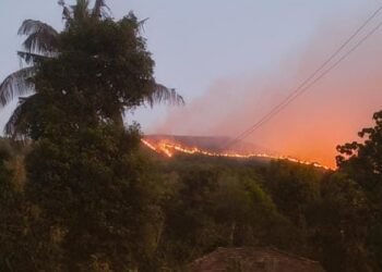 ಧಗಧಗನೇ ಹೊತ್ತಿ ಉರಿದ ಶೋಲಾರಣ್ಯ : 25ಕ್ಕೂ ಹೆಚ್ಚು ಕಡೆ ಕಾಣಿಸಿಕೊಂಡ ಕಾಡ್ಗಿಚ್ಚು