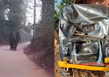 ಪುಂಡಾನೆಯ ಪುಂಡಾಟ : ಮನೆ ಬಳಿ ನಿಲ್ಲಿಸಿದ್ದ ಆಟೋ ಜಖಂ