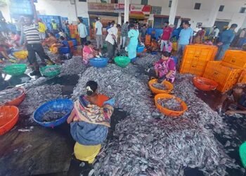 ಮಲ್ಪೆಯಲ್ಲಿ ಮೀನಿನ ಬೆಲೆ ಕುಸಿತ! ಮಾಂಜಿ, ಅಂಜಲ್ ಬೆಲೆ ಎಷ್ಟಿದೆ ಗೊತ್ತಾ?