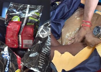 ಡಿಆರ್‌ಐ ಅಧಿಕಾರಿಗಳ ಭರ್ಜರಿ ಕಾರ್ಯಾಚರಣೆ : 5 ಕೋಟಿಗೂ ಹೆಚ್ಚು ಮೌಲ್ಯದ ಡ್ರಗ್ಸ್ ವಶ