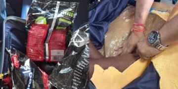 ಡಿಆರ್‌ಐ ಅಧಿಕಾರಿಗಳ ಭರ್ಜರಿ ಕಾರ್ಯಾಚರಣೆ : 5 ಕೋಟಿಗೂ ಹೆಚ್ಚು ಮೌಲ್ಯದ ಡ್ರಗ್ಸ್ ವಶ