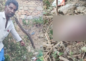 ನವಜಾತ ಶಿಶುವನ್ನು ಕಸದ ರಾಶಿಗೆ ಎಸೆದ ದುರುಳರು!