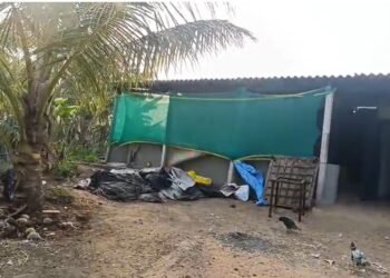 ಮೈಸೂರಿನಲ್ಲಿ ಸಿಂಥೆಟಿಕ್ ಡ್ರಗ್ಸ್ ಪತ್ತೆ- ಓರ್ವ ಆರೋಪಿ ಅರೆಸ್ಟ್