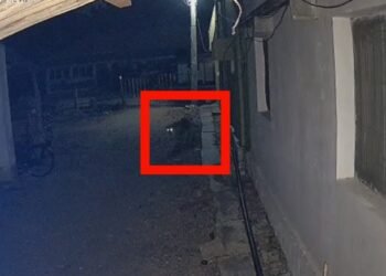 ಮೈಸೂರಿನಲ್ಲಿ ಚಿರತೆ ಪ್ರತ್ಯಕ್ಷ – ಗ್ರಾಮಸ್ಥರಲ್ಲಿ ಮನೆ ಮಾಡಿದ ಆತಂಕ