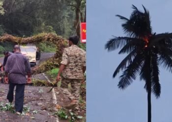 ಕೊಡಗಿನ ಹಲವೆಡೆ ಗುಡುಗು ಸಹಿತ ಭಾರೀ ಮಳೆ : ಸಿಡಿಲು ಬಡಿದು ಧಗಧಗಿಸಿದ ತೆಂಗಿನ ಮರ