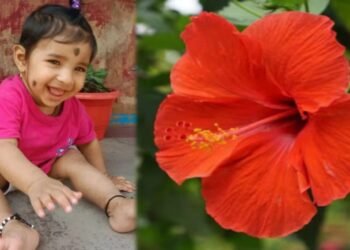 ಒಣಗಿದ ದಾಸವಾಳ ಹೂವು ನುಂಗಿ ಉಸಿರು ಚೆಲ್ಲಿದ 6 ತಿಂಗಳ ಕಂದಮ್ಮ!