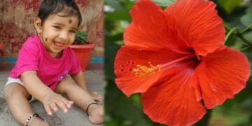 ಒಣಗಿದ ದಾಸವಾಳ ಹೂವು ನುಂಗಿ ಉಸಿರು ಚೆಲ್ಲಿದ 6 ತಿಂಗಳ ಕಂದಮ್ಮ!