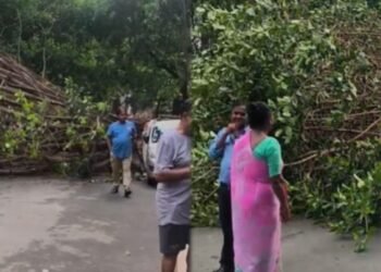 ಚಾಮರಾಜಪೇಟೆಯ RSS ಕಚೇರಿ ಪಕ್ಕದ ರಸ್ತೆಯಲ್ಲಿ ಧರೆಗುಳಿದ ಬೃಹತ್ ಮರ