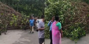 ಚಾಮರಾಜಪೇಟೆಯ RSS ಕಚೇರಿ ಪಕ್ಕದ ರಸ್ತೆಯಲ್ಲಿ ಧರೆಗುಳಿದ ಬೃಹತ್ ಮರ