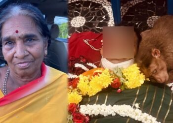 ಮೃತ ವೃದ್ಧೆಯನ್ನ ತಬ್ಬಿ ಕಣ್ಣೀರು ಹಾಕಿದ ಕೋತಿ.. ವಿಡಿಯೋ ವೈರಲ್!