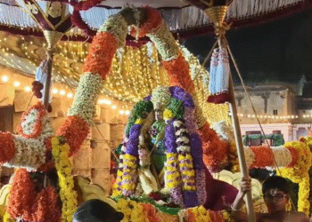 ಹರಿಜನರ ಬಂಗಾರದ ಪಲ್ಲಕ್ಕಿ ಉತ್ಸವಕ್ಕೆ ನಿರ್ಲಕ್ಷ್ಯ.. ದಲಿತ ಸಮುದಾಯ ಬೇಸರ