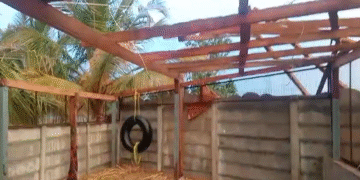 ರಾತ್ರಿ ಸುರಿದ ಬಿರುಗಾಳಿ ಸಹಿತ ಮಳೆಗೆ ಕೋಳಿ ಸಾಕಾಣಿಕೆ ಮನೆಯ ಮೇಲ್ಛಾವಣಿ ಕುಸಿತ