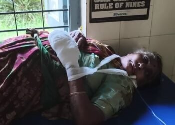 ತೀರ್ಥಹಳ್ಳಿಯಲ್ಲಿ ನಾಡಬಾಂಬ್ ಸ್ಫೋಟ : ವೃದ್ಧೆ ಗಂಭೀರ