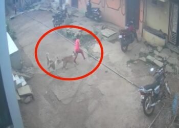 ಮನೆ ಮುಂದೆ ಆಟವಾಡುತ್ತಿದ್ದ ಮಕ್ಕಳ ಮೇಲೆ ಬೀದಿ‌ನಾಯಿಗಳು ಅಟ್ಯಾಕ್‌.. ಇಬ್ಬರಿಗೆ ಗಾಯ