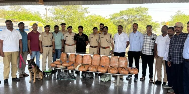 ಬಳ್ಳಾರಿ ರೈಲ್ವೇ ಪೊಲೀಸರ ಮಿಂಚಿನ ಕಾರ್ಯಾಚರಣೆ – ರೈಲಲ್ಲಿ ಸಾಗಿಸುತ್ತಿದ್ದ 20 ಲಕ್ಷ ಮೌಲ್ಯದ ಗಾಂಜಾ ವಶಕ್ಕೆ!