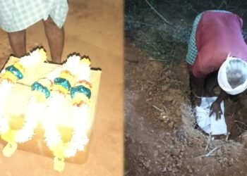 ಜಗಳ ಬಿಡಿಸಲು ಹೋದ ಗರ್ಭಿಣಿ ಮೇಲೆ ಹಲ್ಲೆ – ಹೊಟ್ಟೆಯಲ್ಲಿದ್ದ ಅವಳಿ ಶಿಶುಗಳು ಸಾವು