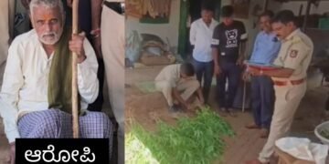 ಗದಗದಲ್ಲಿ ಗಾಂಜಾ ಗಿಡ ಬೆಳೆದ ಖದೀಮ ಲಾಕ್‌..! 